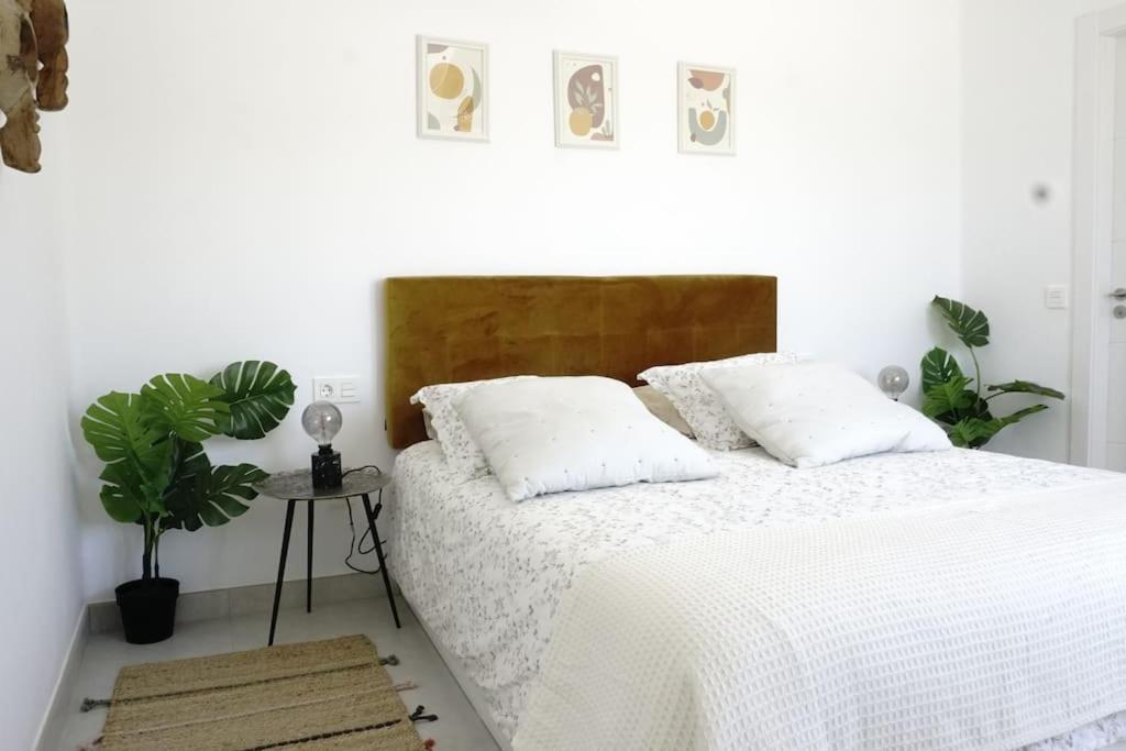 Calma House Διαμέρισμα Costa Teguise Εξωτερικό φωτογραφία